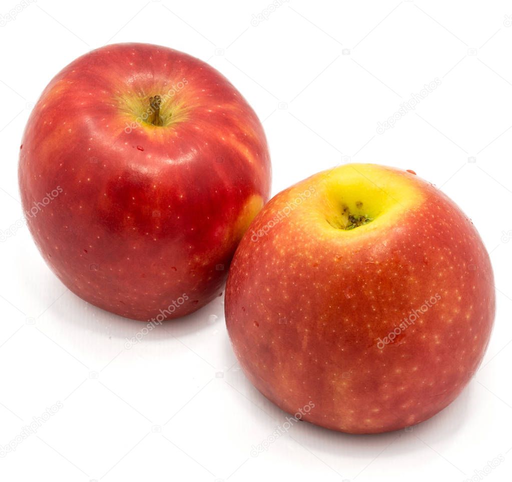 Kanzi Apple isolado — Stock Photo © PIXbank 172626688