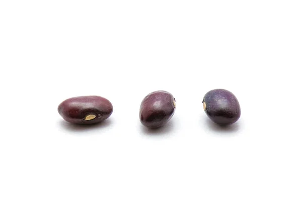 Kidney bean isolerade — Stockfoto