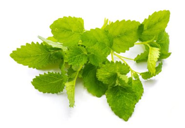 Melissa üzerinde beyaz izole