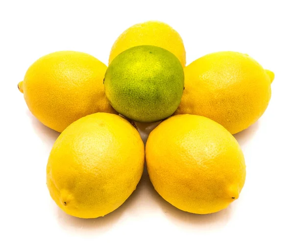 Citrusfrukter isolerad på vit — Stockfoto