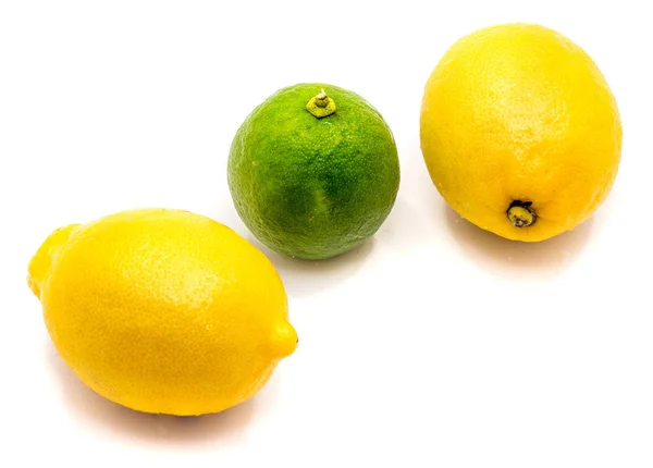 Citrusfrukter isolerad på vit — Stockfoto