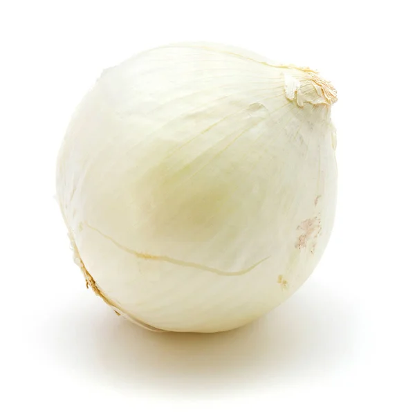 Cebolla blanca aislada — Foto de Stock