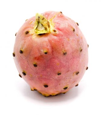 İzole opuntia (dikenli armut)