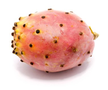 İzole opuntia (dikenli armut)