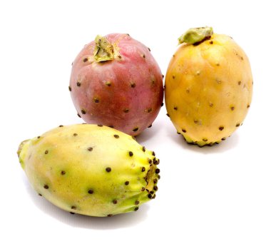 İzole opuntia (dikenli armut)