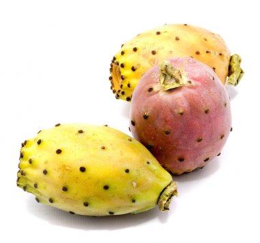İzole opuntia (dikenli armut)