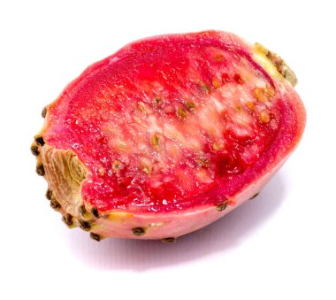 İzole opuntia (dikenli armut)