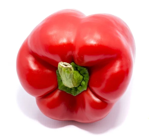 Bulgarian pepper isolated — Stock Photo, Image