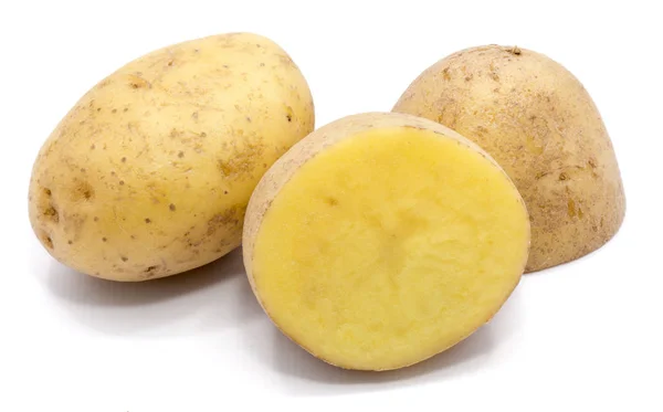 Kartoffel isoliert auf weiß — Stockfoto