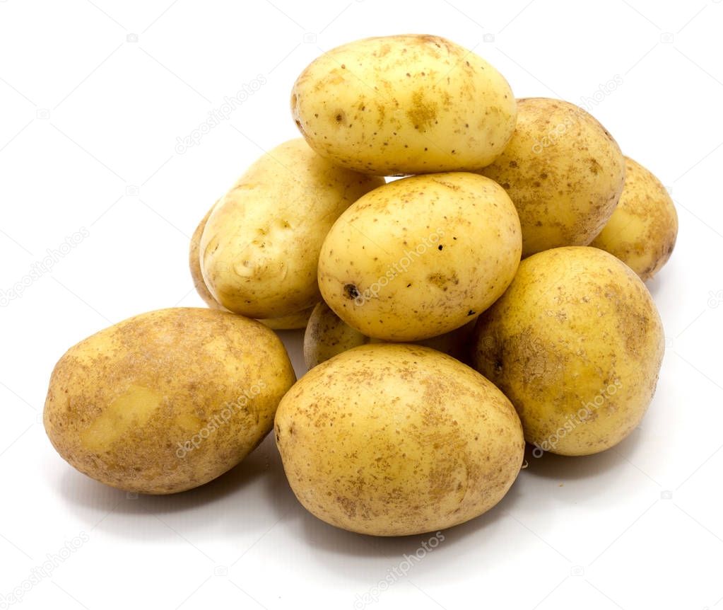 potato isolated on white