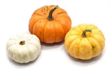 sonbahar kabak izole