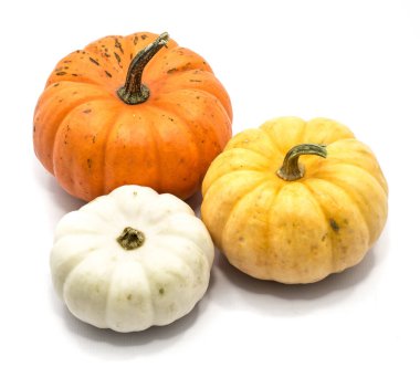 sonbahar kabak izole