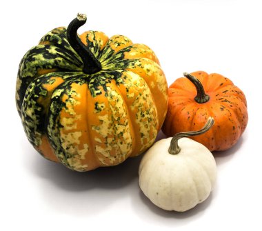 sonbahar kabak izole