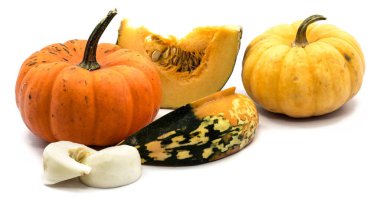 sonbahar kabak izole