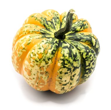 sonbahar kabak izole