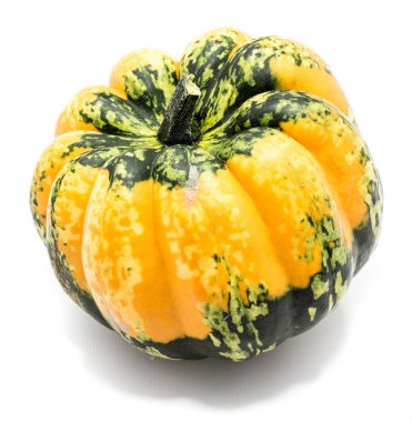 sonbahar kabak izole