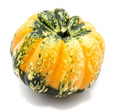 sonbahar kabak izole