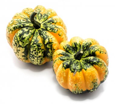 sonbahar kabak izole