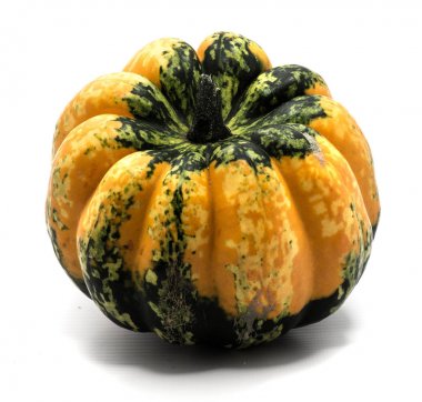 sonbahar kabak izole