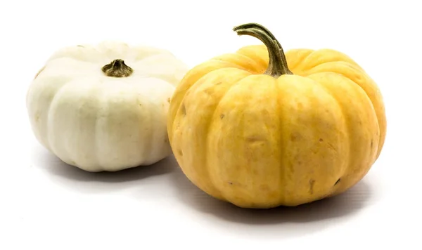 Calabaza de otoño aislada —  Fotos de Stock