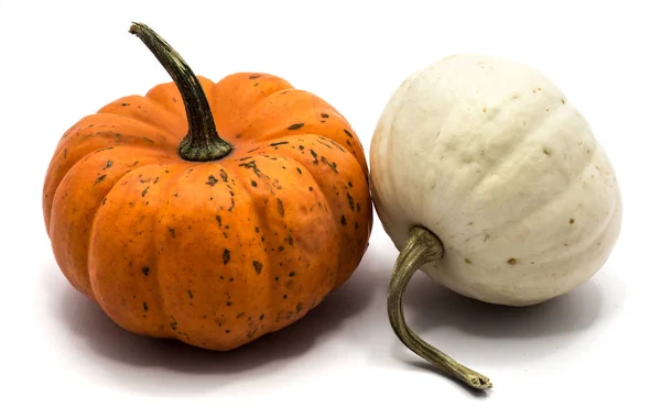 Autumn pumpkin isolated — Stock Photo, Image