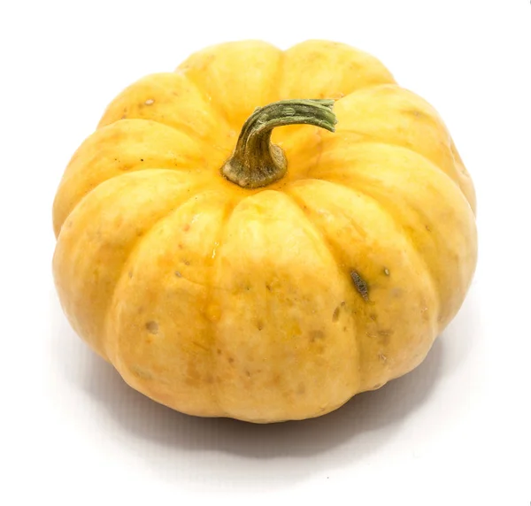 Autumn pumpkin isolated — Stock Photo, Image