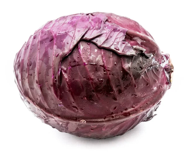 Red cabbage isolated — Stock Photo, Image