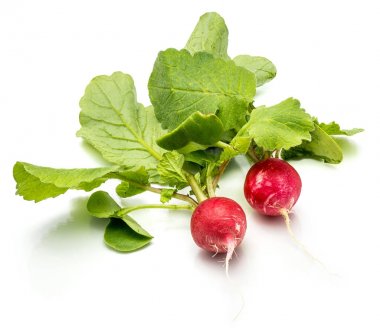 izole kırmızı turp