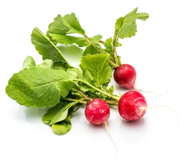 Red radish isolated — Stock Photo, Image