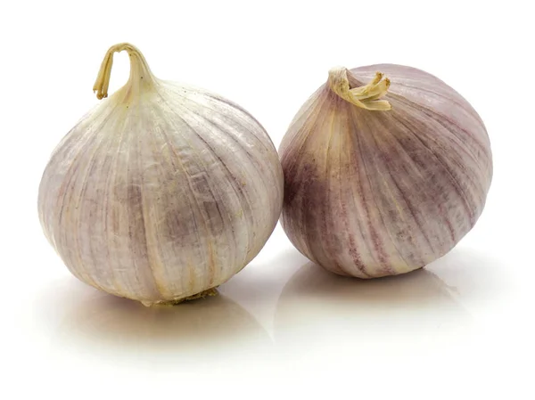 Single (chinese) garlic isolated — Stock Photo, Image