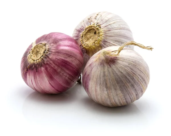 Single (chinese) garlic isolated — Stock Photo, Image
