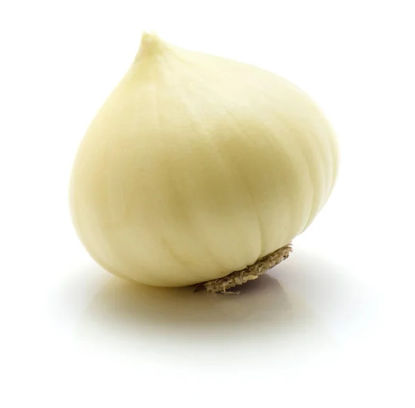 Jeden česnek (čínský česnek), samostatný — Stock fotografie