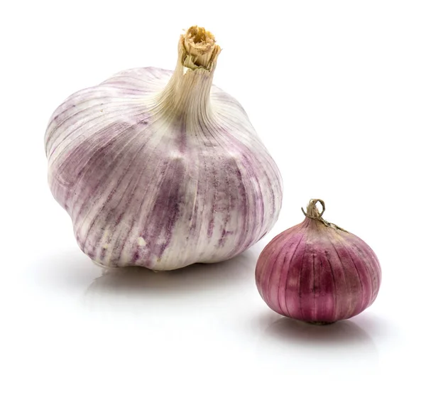 Single garlic (chinese garlic) isolated — Stock Photo, Image