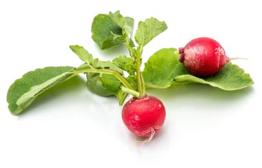 izole kırmızı turp