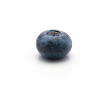 İzole yaban mersini (bataklık bilberry)