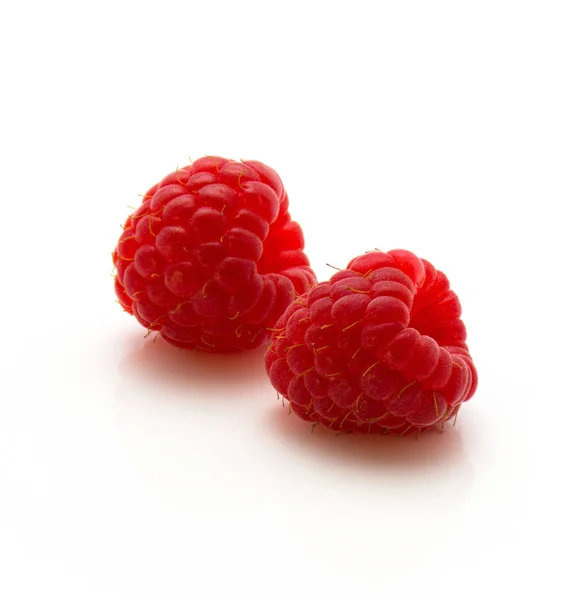 孤立的新鲜树莓 — 图库照片