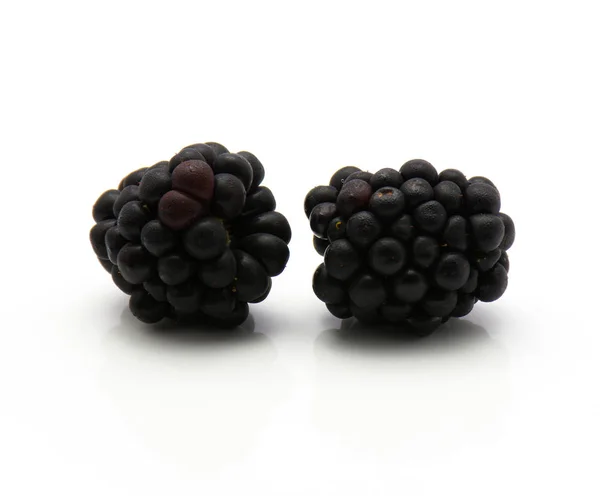 Verse blackberry geïsoleerd — Stockfoto