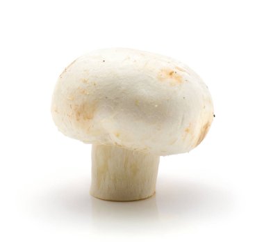 Beyaz arka plan ra üzerinde izole bir bütün champignon