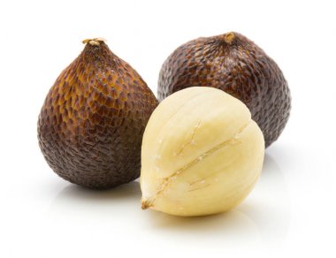 Bir kabuğu salak ve tüm beyaz adam izole iki