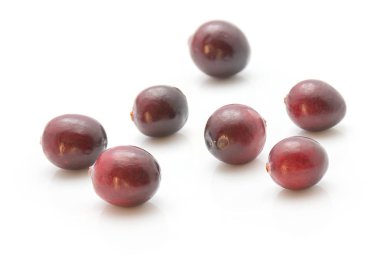 Beyaz adam izole kızılcık koleksiyonu