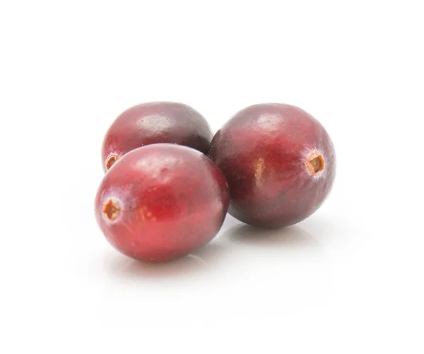 Tiga Cranberry Close Terisolasi Pada Backgroun Putih — Stok Foto