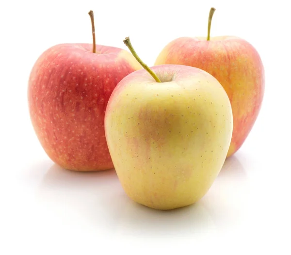 三苹果 艾芙琳品种 被隔绝在白色背景黄色红色淡绿色 — 图库照片