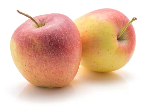 二个苹果 艾芙琳品种 在白色 Backgroun 被隔绝了 — 图库照片