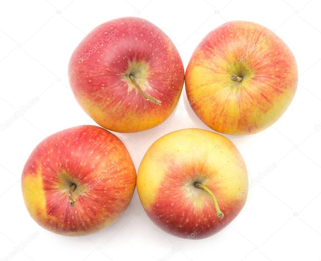 Four apples (Evelina variety) isolated on white background top vie