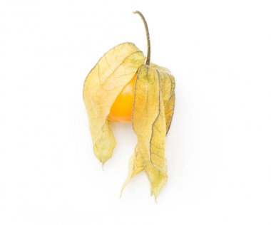 Physalis üstten görünüm beyaz arka plan üzerinde bir turuncu berr izole.