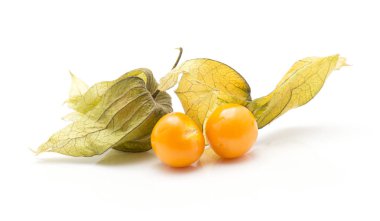 Physalis beyaz arka plan üzerinde iki portakal berrie izole.