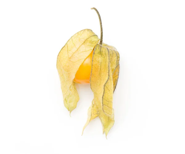 Physalis Top View Isolated White Background One Orange Berr — Stock Photo, Image