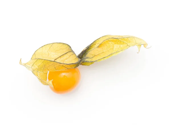 One Physalis Berry Top View Isolated White Backgroun — Stock Photo, Image