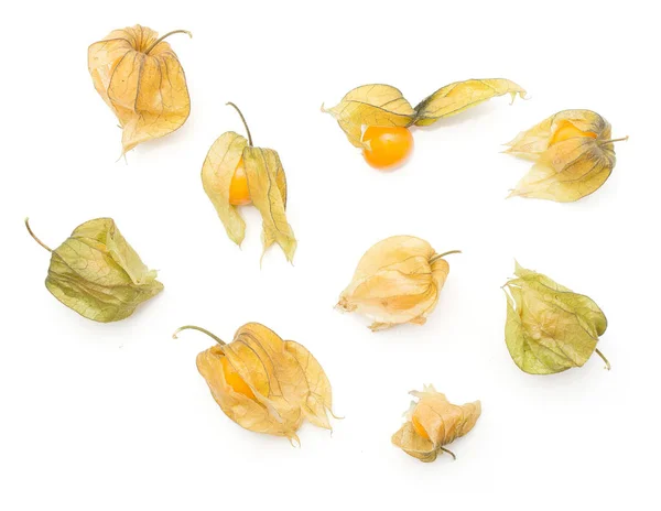 Physalis Top View Isolated White Backgroun — Stock Photo, Image