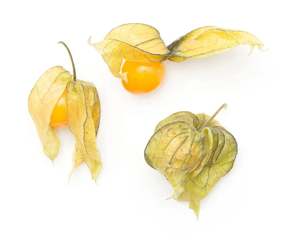 Physalis Vista Superior Três Bagas Isoladas Backgroun Branco — Fotografia de Stock